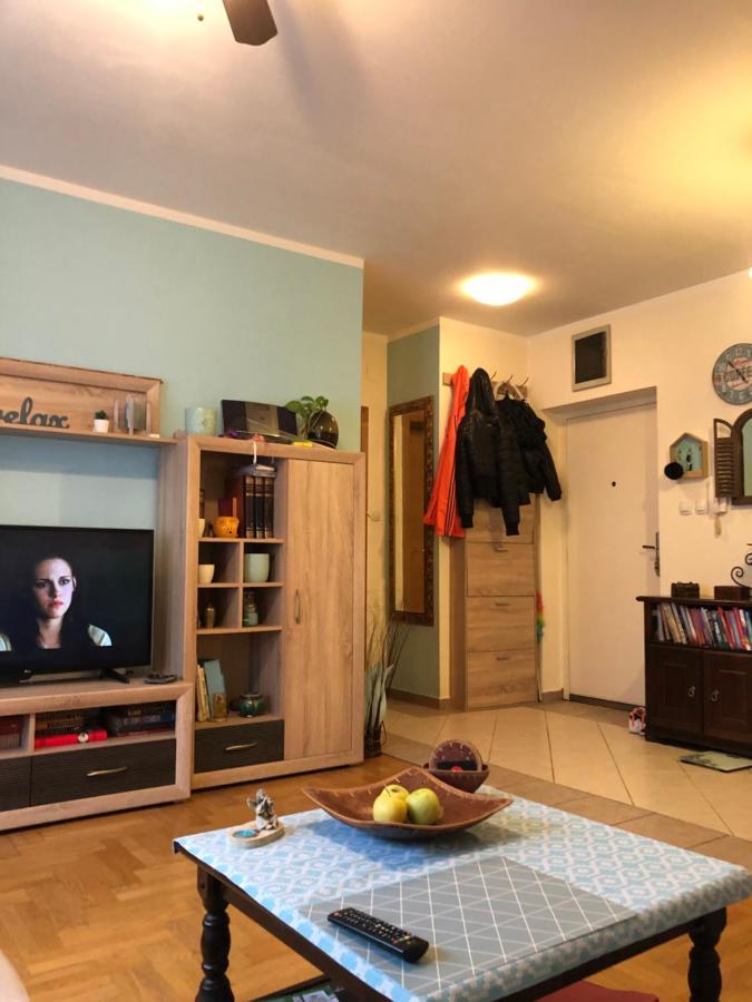 Cosy Apartment-Private Parking Загреб Екстериор снимка